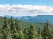 Осадков мало, но похолодает: осенний прогноз погоды на 14 сентября