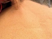 Прогноз экспорта украинского зерна повышен до 23 млн т