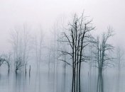 Погода в Украине на 26 декабря: без существенных осадков