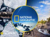 Иллюстративное фото