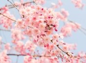 На днях Україну прогріє до +22°