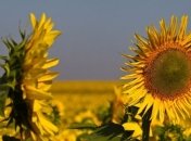 Порошенко разделяет обеспокоенность аграриев относительно решения Рады