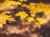 Пару дней тепла и снова похолодание: синоптик дала прогноз погоды на ближайшие дни