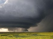 Ураганы способствуют увеличению лесного фотосинтеза и роста