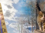 Еще немного дождей и солнце с теплом вернутся: прогноз погоды на ближайшие дни