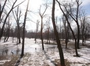 Погода в феврале