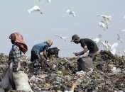 В Канаде нашли бактерию, которая "поедает" пластик