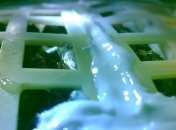 Растения на "Чанъэ-4" погибли: названа причина