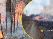 Укротить пламя в регионе россиянам пока не удается