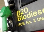 Чем опасно биотопливо? 