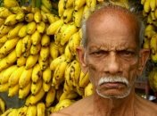 Бананы могут исчезнуть во всем мире