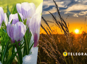 Погода весной и летом