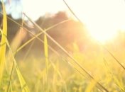 Жара до +33 градусов и местами дожди: прогноз погоды в Украине на выходные