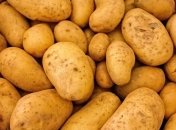 Когда употреблять картофель категорически не рекомендуется