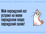 Позитив на весь день: анекдоты 23 мая