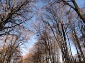 Прогноз погоды: синоптик рассказала, где выпадет первый снег