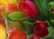 Красивые поздравления с Днем рождения в стихах на 7 марта