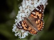 Какие завтра праздники: традиции и приметы на 4 июля