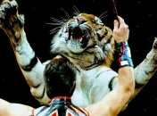 В столице запретили цирки-шапито с животными