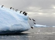 Лед в Антарктиде тает втрое быстрее, чем в 2012 году