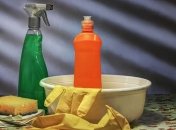 Самые распространенные ошибки, которые каждый совершает при уборке (Фото)