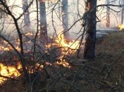 Пожары на Житомирщине: продолжается тушение отдельных очагов (Фото)