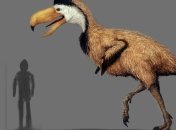 Ученые назвали причину вымирания "птиц ужаса"