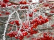 Штормовой ветер и мороз: сегодня в Украине еще больше похолодает