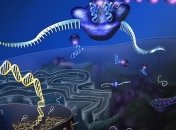 Биотехническое подразделение хочет создать новые формы жизни