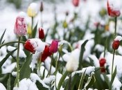 Погода резко испортится: в Украину идут дожди, заморозки и снег