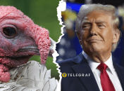 Дональд Трамп, індичка
