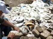 Антинаркотическое ведомство Киргизии подверглось серьезной критике