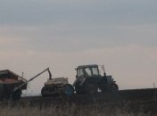 В Украине ранними зерновыми уже засеяно 26% площади 