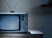 Сегодня отмечают Всемирный день телевидения