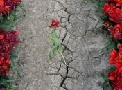 Грусть и депрессии "опустошают" кошельки