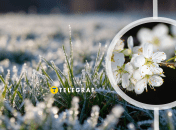 В Украине обещают минусовую температуру