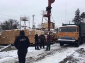 В Харьковской области чиновники незаконно вырубили деревьев на 5 млн гривен