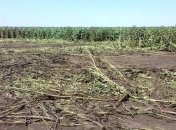 Госпогранслужба: РФ использует реактивные системы залпового огня