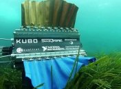 Студенты создали робота-рыбу для съемки под водой (Видео)