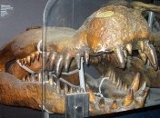 Найдены останки доисторического чудовища весом около 3 тонн (Видео)