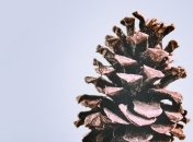 Какой праздник 16 февраля: народные приметы и запреты