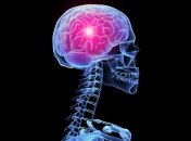 Ученые: Найден отдел мозга, отвечающий за "закон подлости"