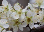 Дожди и холод накроют Украину: синоптики дали прогноз погоды на выходные 