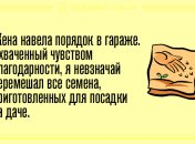 Отличное настроение с утра 13 мая: веселые шутки