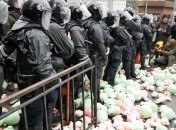 Активисты "Нацкорпуса" забросали правоохранителей игрушечными свинками