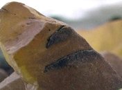 Полиция перекрыла канал вывоза янтаря в Китай