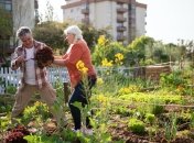 Календар для городників та садівників