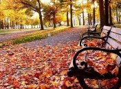 Прогноз погоды в Украине на 29 октября: ясная погода на юге и востоке страны