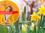 Початок квітня виявився дощовим