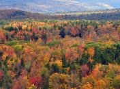 Погода в Украине на сегодня: дожди пройдут во всех областях